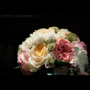 Meet your Posher, Lynn